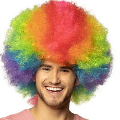 Regenboog Afro Pruik Mannen