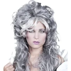 Dames Zilver Grijze Pruik Ice Queen