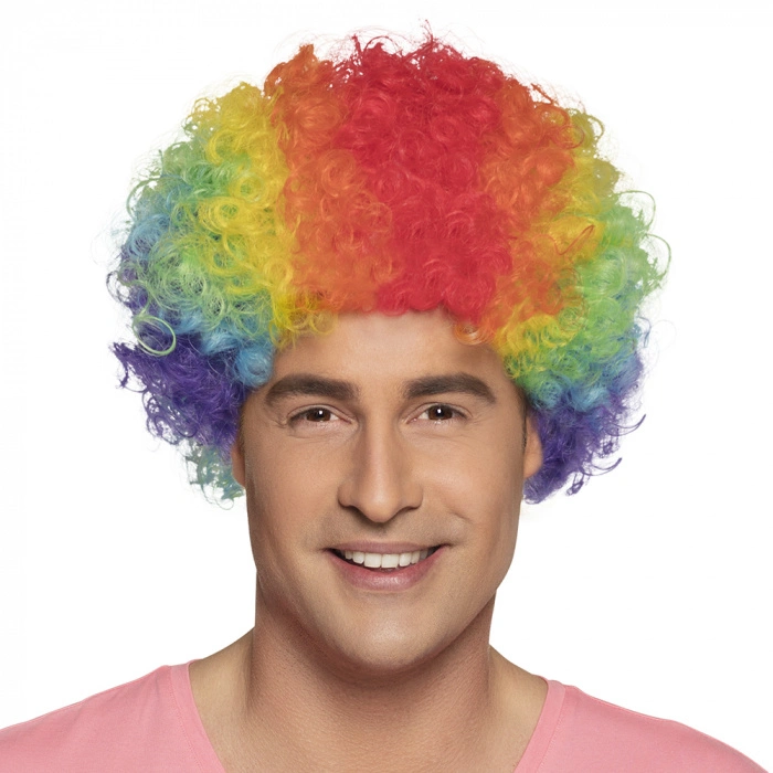 Pruik Regenboog Krullenn 4 Pruik Regenboog Krullenn - Afbeelding 2