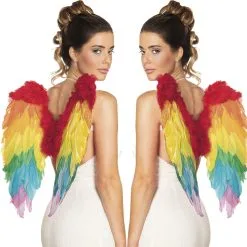 Engelen Vleugels Regenboog Klein