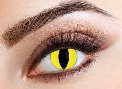 Goedkope Kat Lenzen Geel