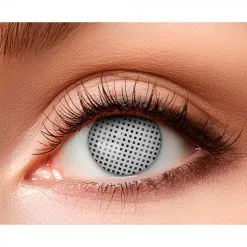 12-maandslenzen Mystiek