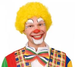 Clowns Pruik Geel Kopen