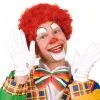 Rode Clownspruik Kopen Online