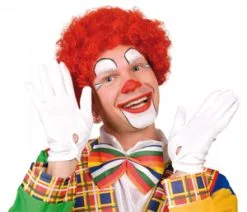 Rode Clownspruik Kopen Online